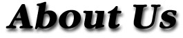 Lupine Case Management Inc.  has been providing supportive resources to our clients for over 6 years.  Our team has over 36 years of combined experience in working with the elderly and disabled.